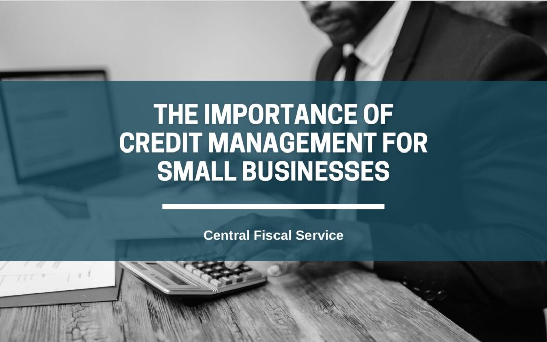 The Importance of Credit Management for Small Businesses